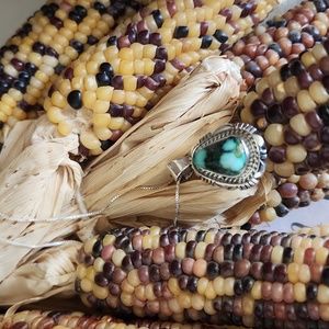 Gorgeous NWOT Native American Navajo Sonoran Mountain Turquoise Necklace 💙💚